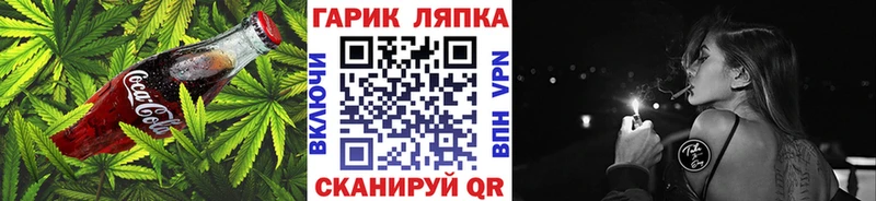 mega как зайти Няндома Canna-Cookies марихуана