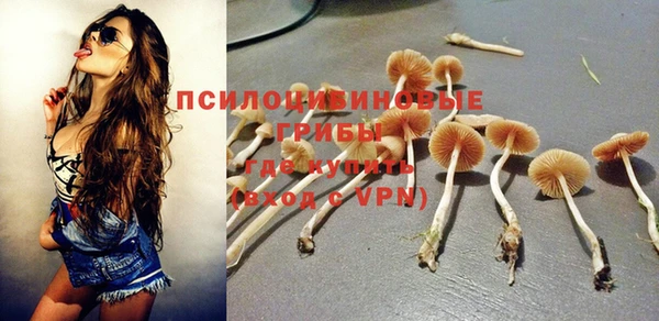 шишки Армянск