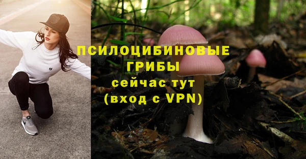 герыч Арсеньев