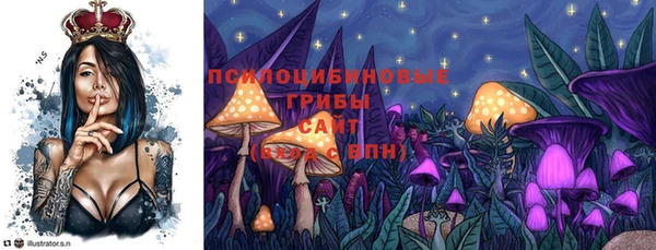 шишки Армянск