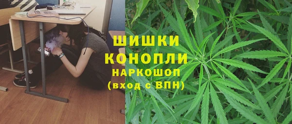 дмт Нягань