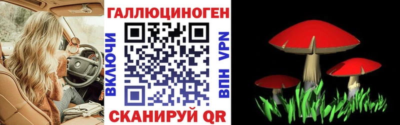 Псилоцибиновые грибы Psilocybine cubensis  Няндома 
